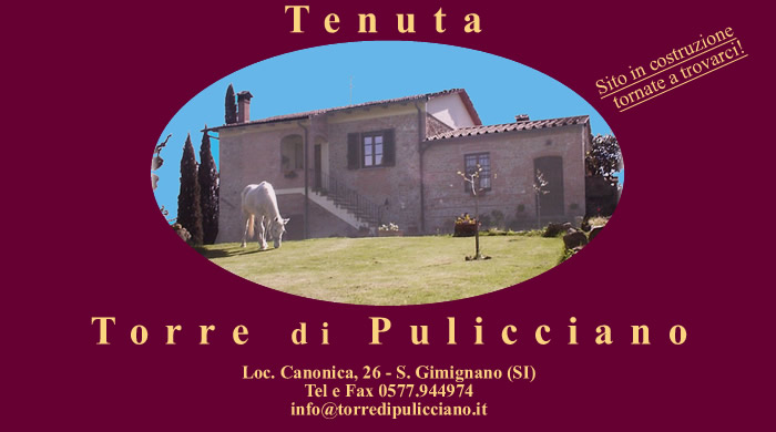 Tenuta Torre di Pulicciano